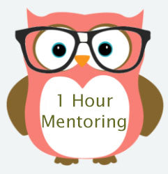 1 Hour Mentoring