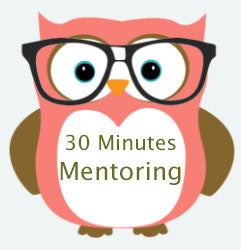30 minutes mentoring